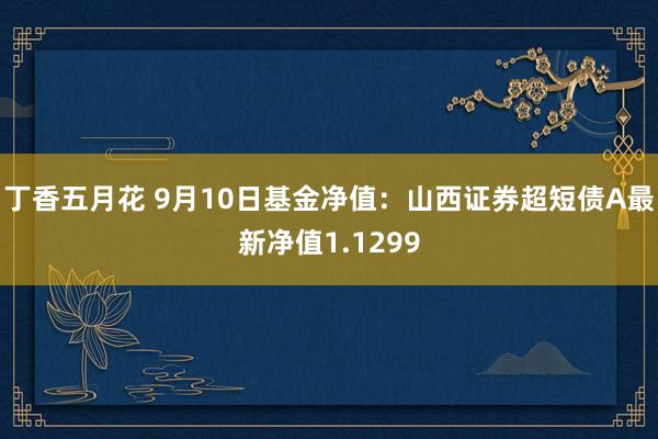 丁香五月花 9月10日基金净值：山西证券超短债A最新净值1.1299