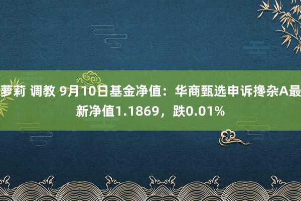 萝莉 调教 9月10日基金净值：华商甄选申诉搀杂A最新净值1.1869，跌0.01%