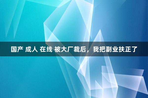 国产 成人 在线 被大厂裁后，我把副业扶正了