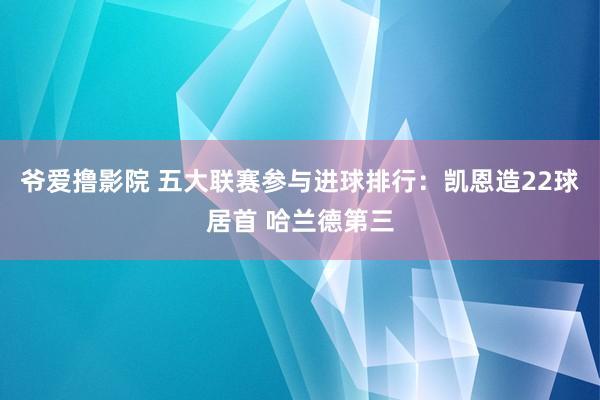 爷爱撸影院 五大联赛参与进球排行：凯恩造22球居首 哈兰德第三