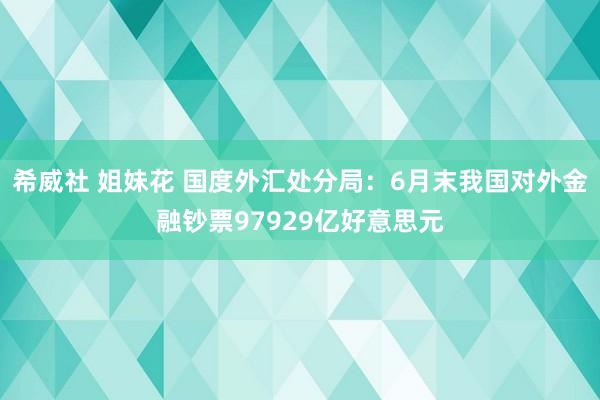 希威社 姐妹花 国度外汇处分局：6月末我国对外金融钞票97929亿好意思元