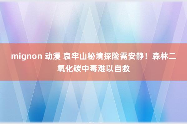 mignon 动漫 哀牢山秘境探险需安静！森林二氧化碳中毒难以自救