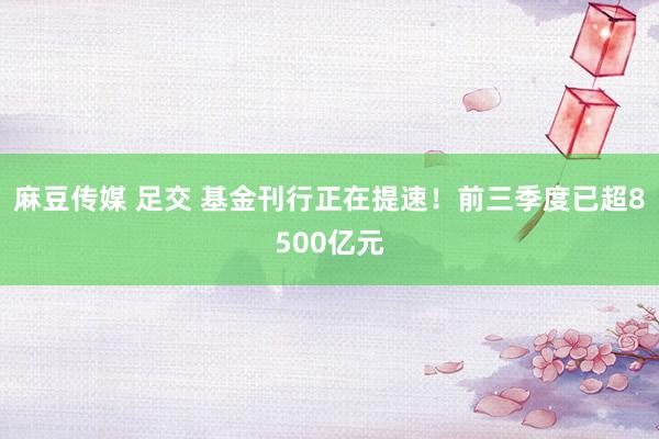 麻豆传媒 足交 基金刊行正在提速！前三季度已超8500亿元