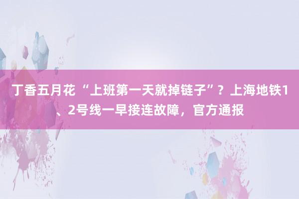 丁香五月花 “上班第一天就掉链子”？上海地铁1、2号线一早接连故障，官方通报