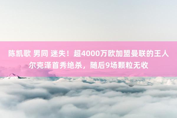 陈凯歌 男同 迷失！超4000万欧加盟曼联的王人尔克泽首秀绝杀，随后9场颗粒无收