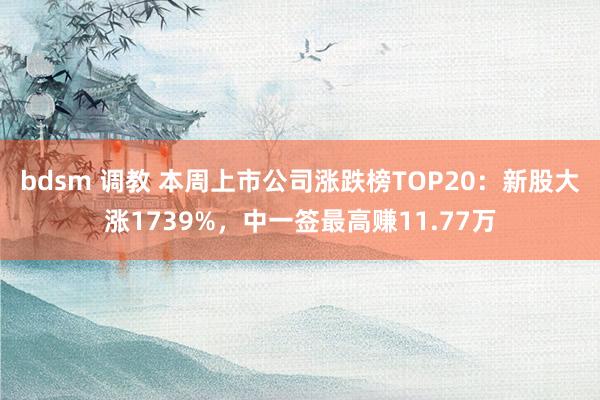 bdsm 调教 本周上市公司涨跌榜TOP20：新股大涨1739%，中一签最高赚11.77万