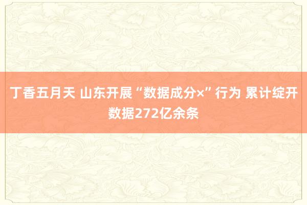 丁香五月天 山东开展“数据成分×”行为 累计绽开数据272亿余条