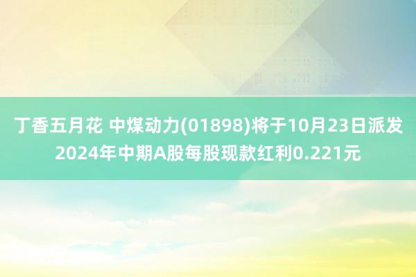 丁香五月花 中煤动力(01898)将于10月23日派发2024年中期A股每股现款红利0.221元