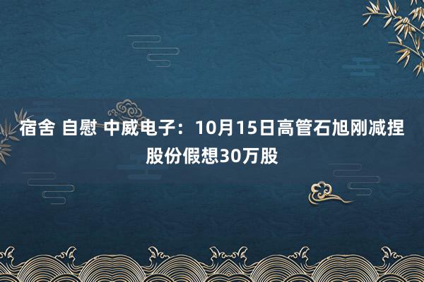 宿舍 自慰 中威电子：10月15日高管石旭刚减捏股份假想30万股