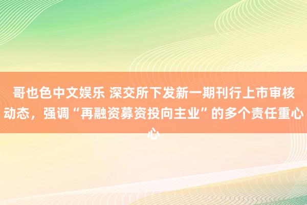 哥也色中文娱乐 深交所下发新一期刊行上市审核动态，强调“再融资募资投向主业”的多个责任重心