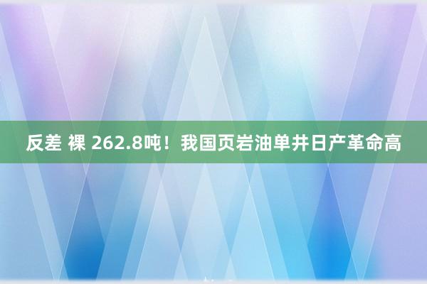 反差 裸 262.8吨！我国页岩油单井日产革命高