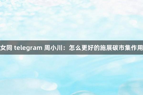 女同 telegram 周小川：怎么更好的施展碳市集作用