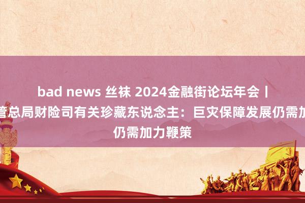 bad news 丝袜 2024金融街论坛年会丨金融监管总局财险司有关珍藏东说念主：巨灾保障发展仍需加力鞭策