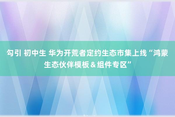 勾引 初中生 华为开荒者定约生态市集上线“鸿蒙生态伙伴模板＆组件专区”