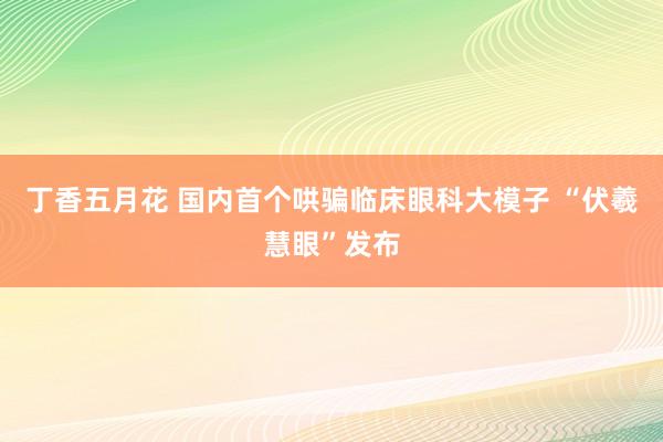 丁香五月花 国内首个哄骗临床眼科大模子 “伏羲慧眼”发布