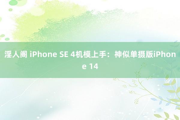 淫人阁 iPhone SE 4机模上手：神似单摄版iPhone 14