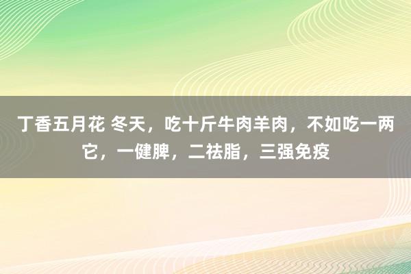 丁香五月花 冬天，吃十斤牛肉羊肉，不如吃一两它，一健脾，二祛脂，三强免疫