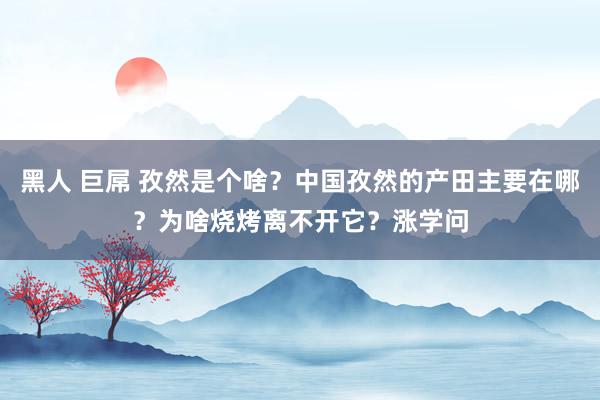 黑人 巨屌 孜然是个啥？中国孜然的产田主要在哪？为啥烧烤离不开它？涨学问