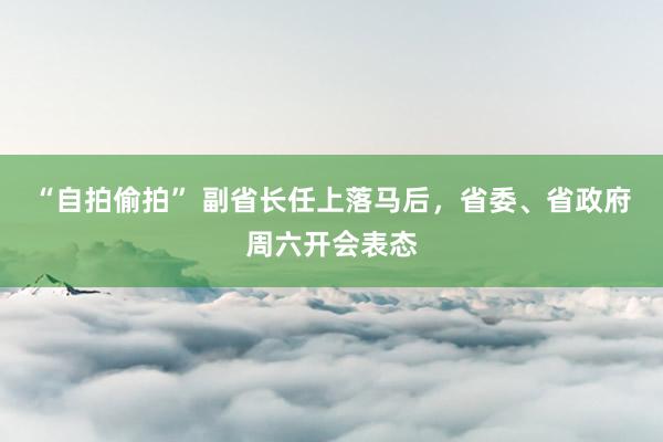 “自拍偷拍” 副省长任上落马后，省委、省政府周六开会表态