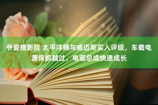 爷爱撸影院 太平洋赐与威迈斯买入评级，车载电源保抓越过，电驱总成快速成长