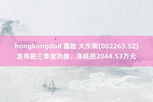 hongkongdoll 露脸 大东南(002263.SZ)发布前三季度功绩，净耗损2044.53万元