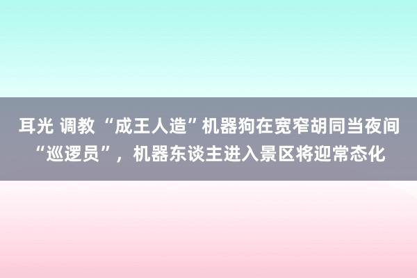 耳光 调教 “成王人造”机器狗在宽窄胡同当夜间“巡逻员”，机器东谈主进入景区将迎常态化