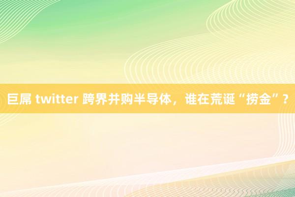 巨屌 twitter 跨界并购半导体，谁在荒诞“捞金”？