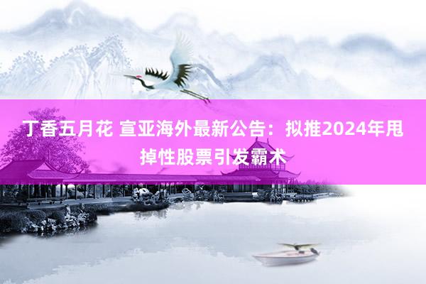 丁香五月花 宣亚海外最新公告：拟推2024年甩掉性股票引发霸术