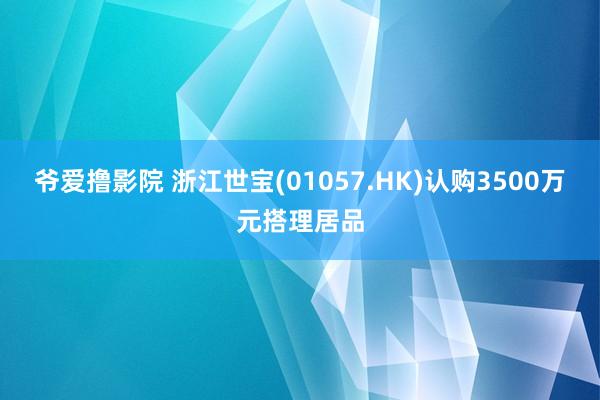 爷爱撸影院 浙江世宝(01057.HK)认购3500万元搭理居品