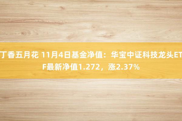 丁香五月花 11月4日基金净值：华宝中证科技龙头ETF最新净值1.272，涨2.37%