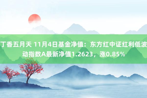 丁香五月天 11月4日基金净值：东方红中证红利低波动指数A最新净值1.2623，涨0.85%