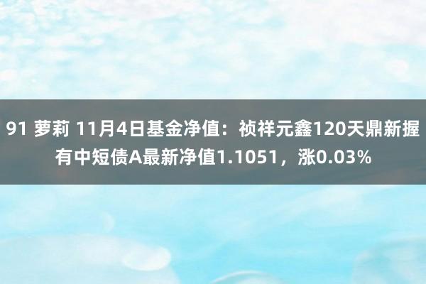 91 萝莉 11月4日基金净值：祯祥元鑫120天鼎新握有中短债A最新净值1.1051，涨0.03%