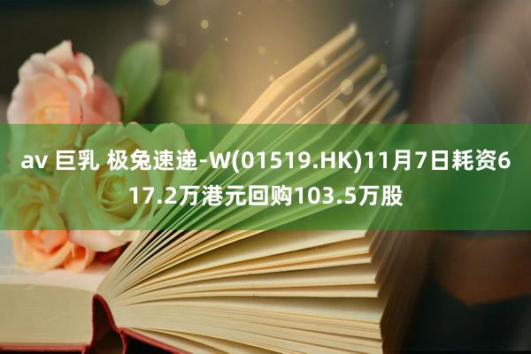 av 巨乳 极兔速递-W(01519.HK)11月7日耗资617.2万港元回购103.5万股