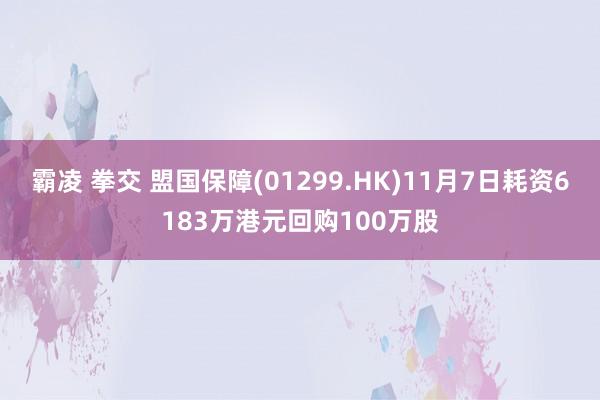 霸凌 拳交 盟国保障(01299.HK)11月7日耗资6183万港元回购100万股