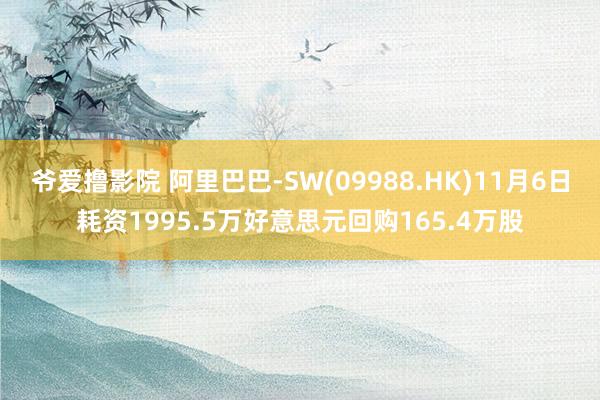 爷爱撸影院 阿里巴巴-SW(09988.HK)11月6日耗资1995.5万好意思元回购165.4万股