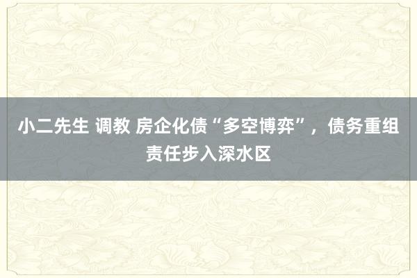 小二先生 调教 房企化债“多空博弈”，债务重组责任步入深水区