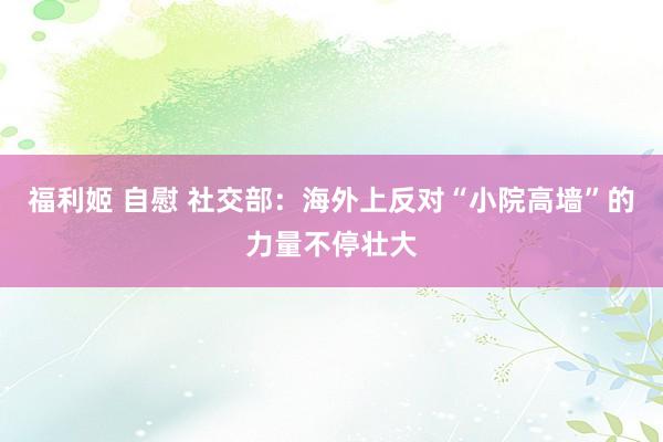 福利姬 自慰 社交部：海外上反对“小院高墙”的力量不停壮大