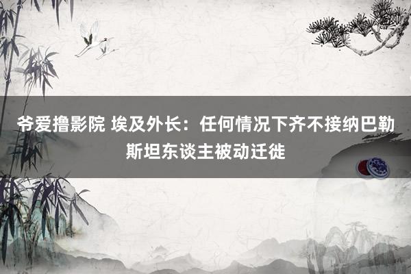 爷爱撸影院 埃及外长：任何情况下齐不接纳巴勒斯坦东谈主被动迁徙