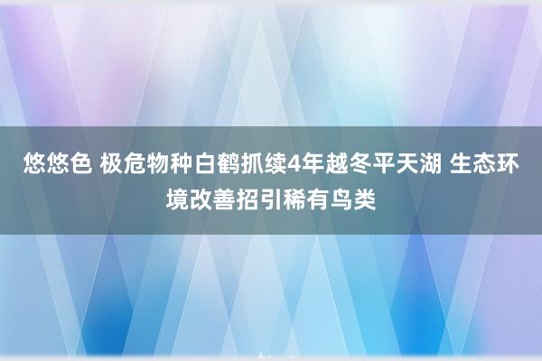 悠悠色 极危物种白鹤抓续4年越冬平天湖 生态环境改善招引稀有鸟类