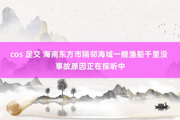 cos 足交 海南东方市隔邻海域一艘渔船千里没 事故原因正在探听中