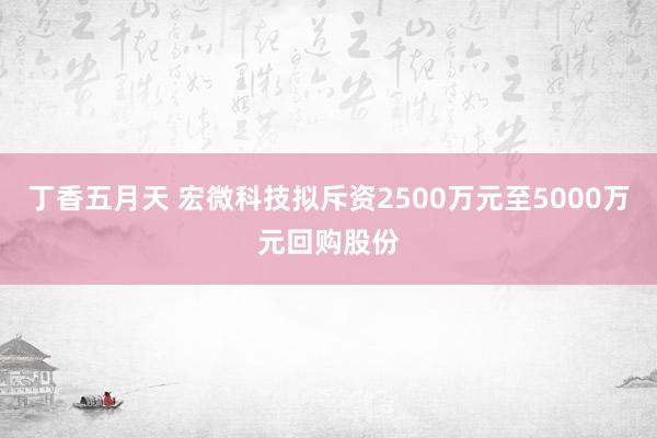 丁香五月天 宏微科技拟斥资2500万元至5000万元回购股份