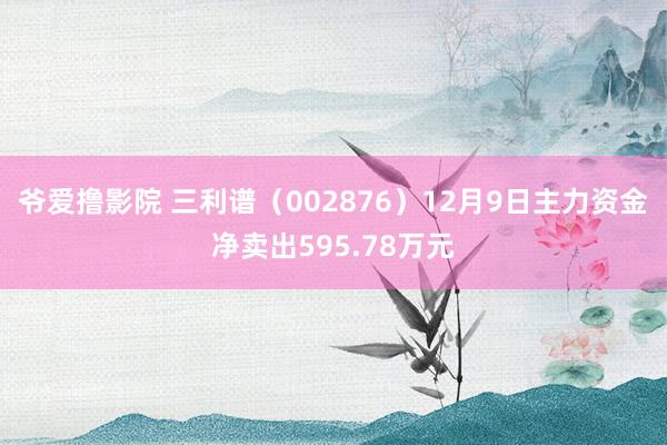 爷爱撸影院 三利谱（002876）12月9日主力资金净卖出595.78万元