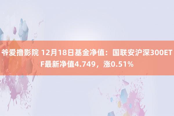 爷爱撸影院 12月18日基金净值：国联安沪深300ETF最新净值4.749，涨0.51%