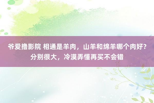 爷爱撸影院 相通是羊肉，山羊和绵羊哪个肉好？分别很大，冷漠弄懂再买不会错