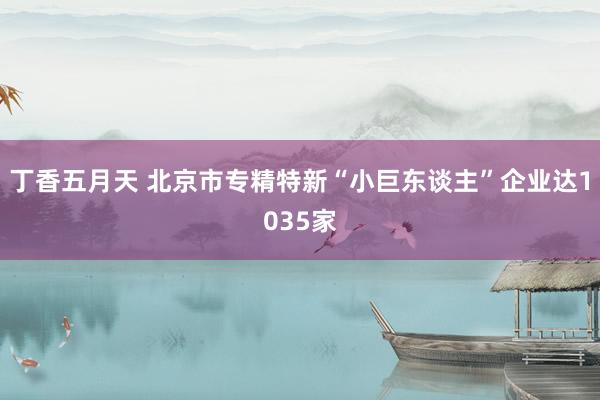 丁香五月天 北京市专精特新“小巨东谈主”企业达1035家