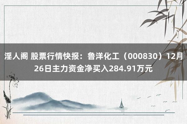 淫人阁 股票行情快报：鲁洋化工（000830）12月26日主力资金净买入284.91万元