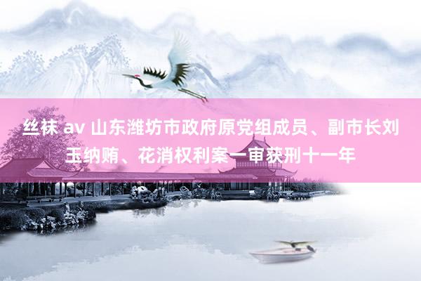 丝袜 av 山东潍坊市政府原党组成员、副市长刘玉纳贿、花消权利案一审获刑十一年