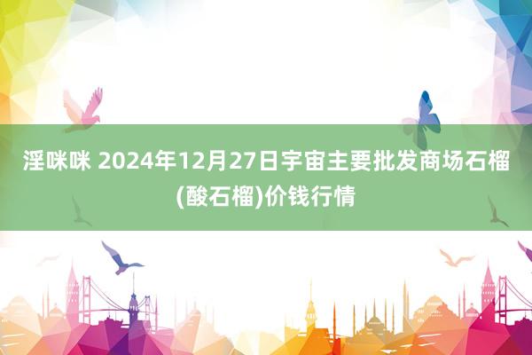 淫咪咪 2024年12月27日宇宙主要批发商场石榴(酸石榴)价钱行情