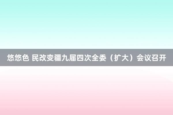 悠悠色 民改变疆九届四次全委（扩大）会议召开