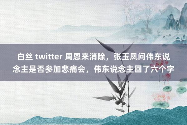 白丝 twitter 周恩来消除，张玉凤问伟东说念主是否参加悲痛会，伟东说念主回了六个字